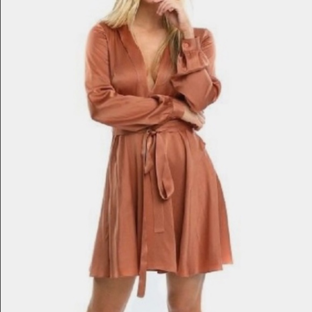 Never worn Kittenish Silk Dress